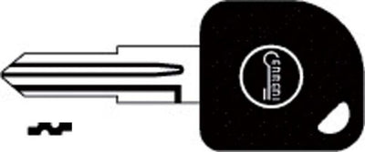 Chiave Auto Senza Transponder T00DW3P