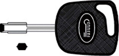 Chiave Auto Speciali Senza Trasponder T00TB1P