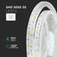 STRISCIA SMD5050 30 LED/M BIANCO FREDDO IP65 6000K