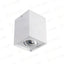 FARETTO DECORATIVO GORD DLP 50-W - KANLUX
