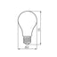 LAMPADINA LED XLED A60 7W-CW - KANLUX