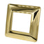 PLACCA 5002-03 2P ORO LUCIDO MTX TECNOPOLIMERO