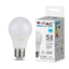 LAMPADINA LED SAMSUNG CHIP 12W E27 A60 DIMMERABILE 6400K