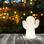 PANCHITO BATTERY INDOOR & OUTDOOR USEPANCHITO BATTERY INDOOR