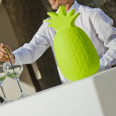 SAMBA 40 LIME INDOOR WARM LIGHT INDOOR USESAMBA 40 LIME INDO