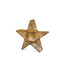 SISINE STAR 40 BATTERY  INDOOR & OUTDOOR USE