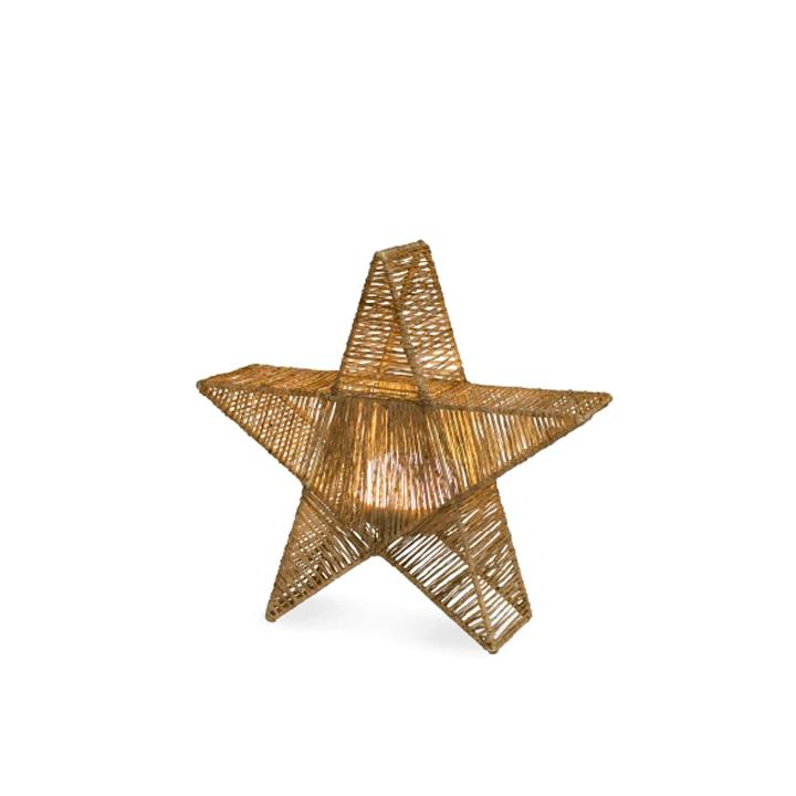 SISINE STAR 40 BATTERY  INDOOR & OUTDOOR USE