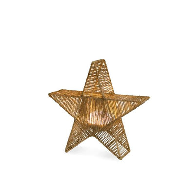 SISINE STAR 40 BATTERY  INDOOR & OUTDOOR USE