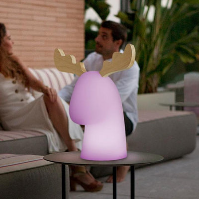 RUDY 35 SOLAR & RECHARGEABLE BATTERY  INDOOR & OUTDOOR USE