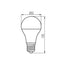 LAMPADINA LED XLED A60 M 7W-NW - KANLUX