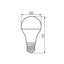 LAMPADINA LED XLED A60 M 7W-WW - KANLUX
