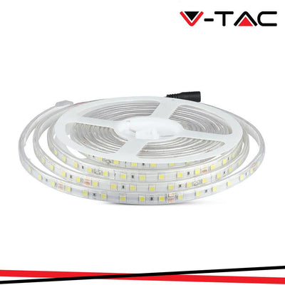 LED STRISCIA 5050 60 LEDS 24V IP65 6500K