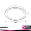 EVEREST, SMART WIFI LED CEILING LAMP, SILVER WITH WHITE SHAD