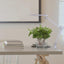 RAUL, WRITING DESK LAMP WITH CLAMP, LED