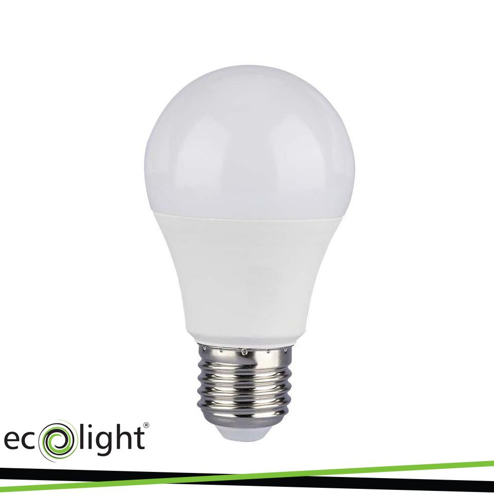LAMPADINA E27 10W 24V 6500K 900LM