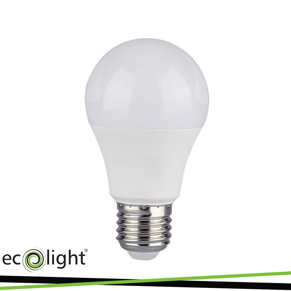 LAMPADINA E27 10W 24V 6500K 900LM
