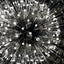 LAMPADINA LED IQ-LED G45E27 3,4W-CW - KANLUX