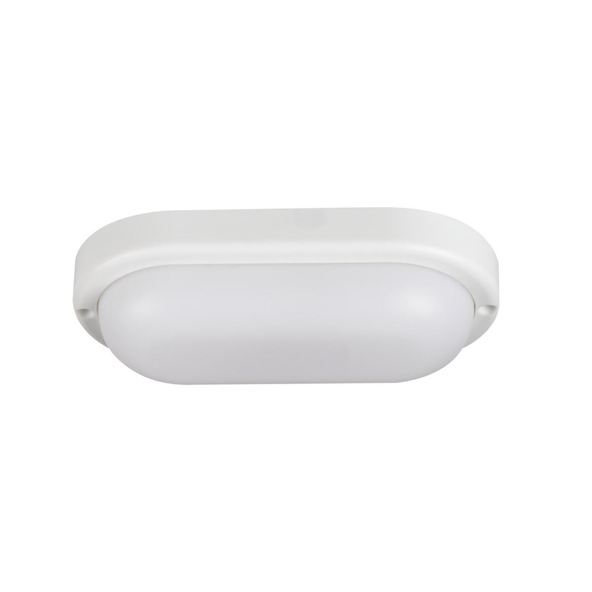 LAMPADA &AMP QUOT TARTARUGA&AMP QUOT  TOLU C LED 6W-NW-W - KANLUX
