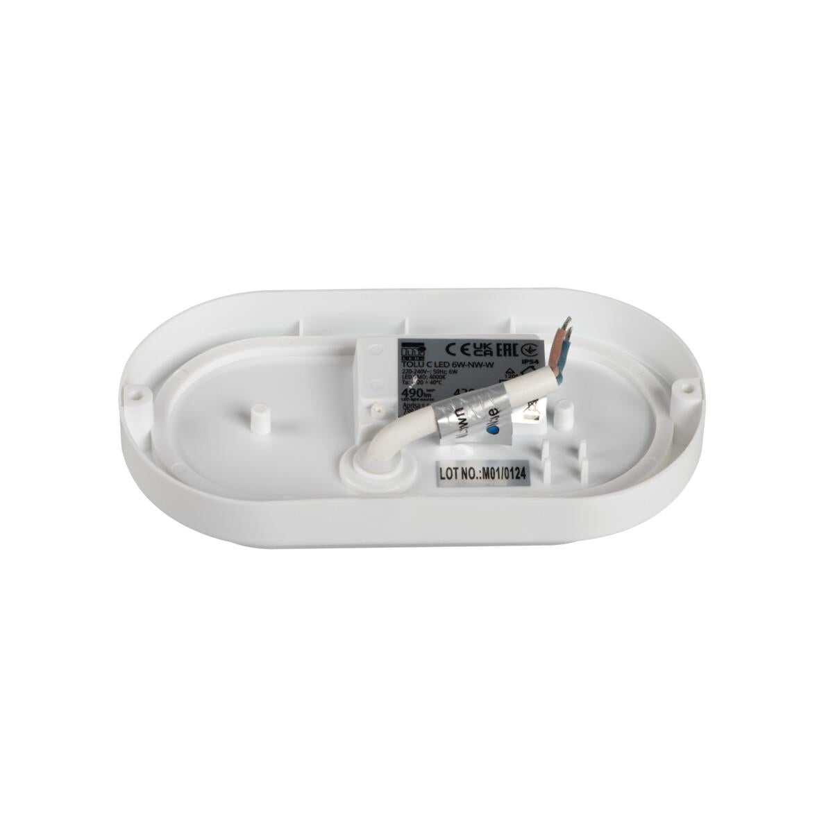 LAMPADA &AMP QUOT TARTARUGA&AMP QUOT  TOLU C LED 6W-NW-W - KANLUX