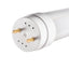 LAMPADINA LED T8 LED 18-CW - KANLUX