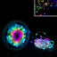 STRISCIA LED 1 MILIONE DI COLORI 100 LED 10M DC5V