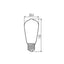 LAMPADINA LED XLED ST64C 7,8W-NW - KANLUX