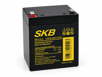 BATTERIA AGM 12V 5,2AH F2 SKB