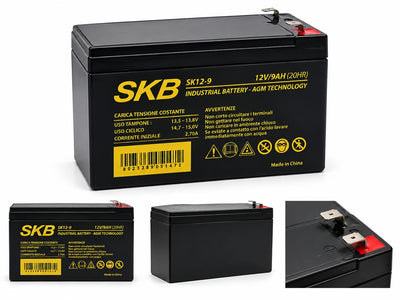 BATTERIA AGM 12V 9AH F2 SKB