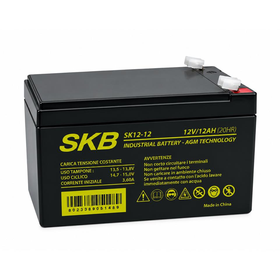BATTERIA AGM 12V 12AH F2 SKB