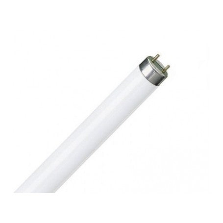 LAMPADA FLUORESCENTE T8 18W DAY