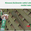WP Clean Pulitore Biodegradabile Potente Professionale 1 Litro