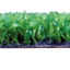 Prato Erba verde H 200 cm / L 30 cm (r50mq) - Edilpiazza