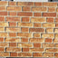 Rivestimento in Polipropilene Pannelli Alveolare