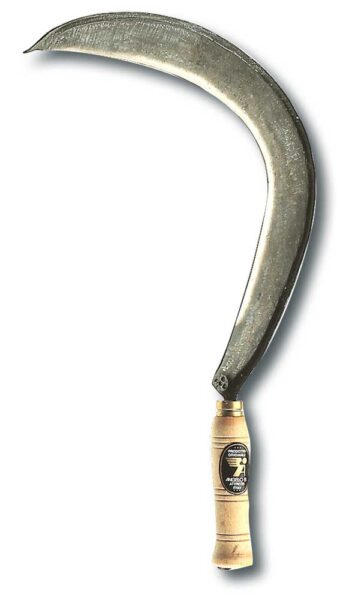 Falciola toscana nr.1 angelo b.