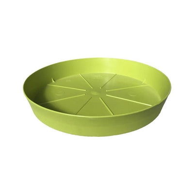 Sottovaso rotondo insci 30 anice