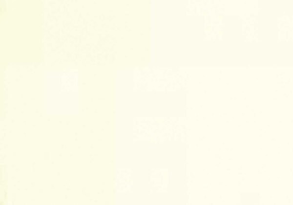 Vernifer 750 ml bianco brillante