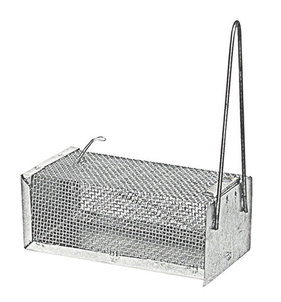 Gabbietta trap.x topi med.12x24x10h