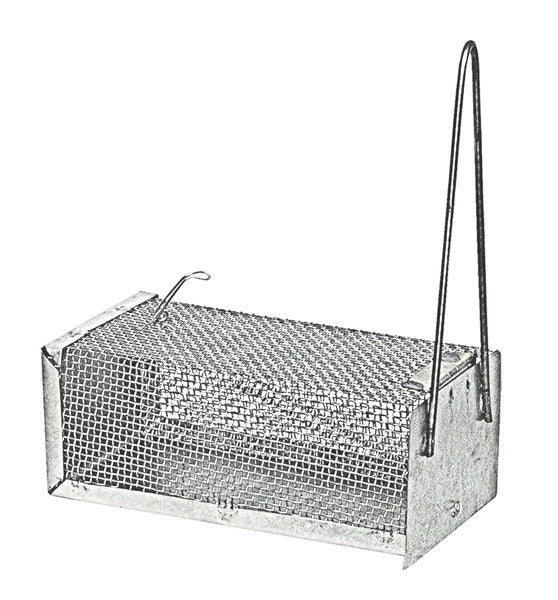 Gabbietta trap.x topi med.12x24x10h