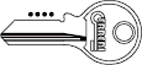 Chiave Profilo Nazionale V4PD (SLC VI084)