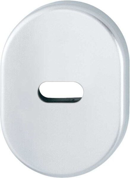 Bocchetta in alluminio per porte ingresso Argento