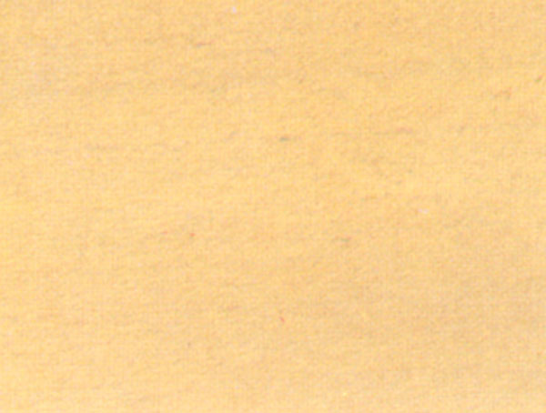 Ritocco mobili frassino n.62 ml.25