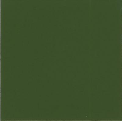 Aquatinta colorante per idropitture 150 ml. 313 verde oliva