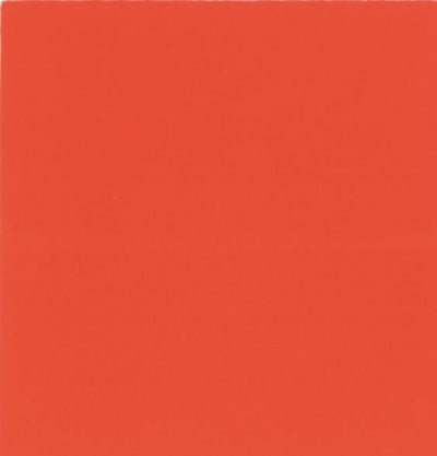 Kolorone colorante per idropitture ml 225 n.207 arancio