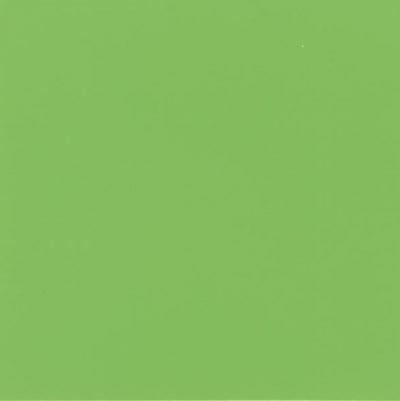 Aquatinta colorante per idropitture 40ml. 311 verde primavera