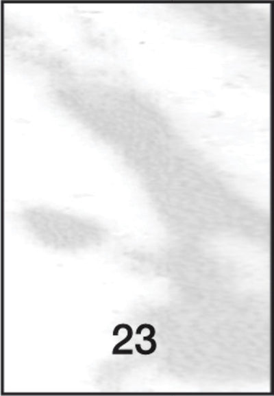 Profilo Ecorondmarm pvc marmorizzato luc.h.2,50 mis.10x25 carrara b.co
