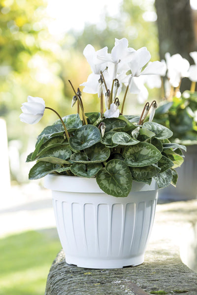 Vaso terra d.30 bianco