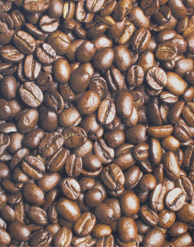 Tappeto sprinty h.cm.52 coffee