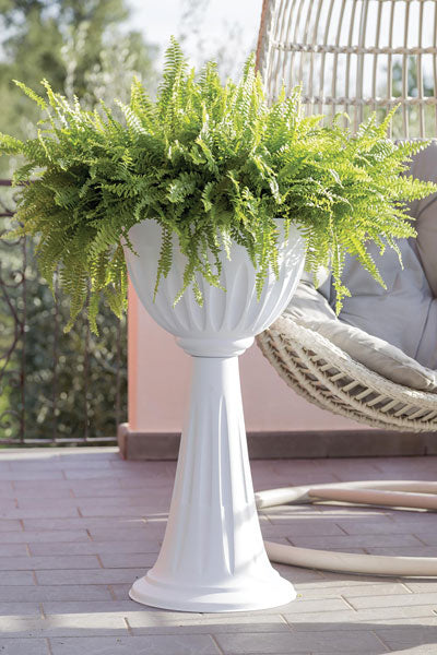 Colonna alba diametro cm.43 h.74,5 colore bianco