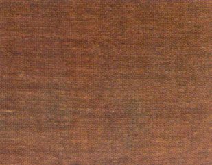 Stucco pasta gr.500(ml250)noce chia