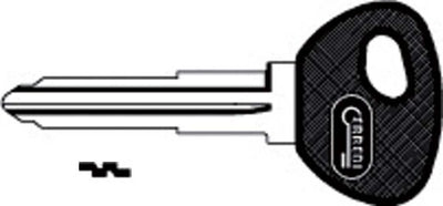 Chiave Auto Senza Transponder T00MZ12RP